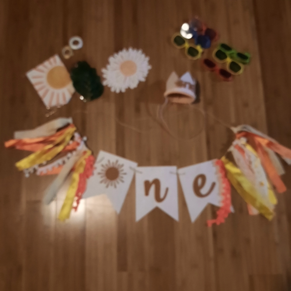 First trip around the sun birthday decor